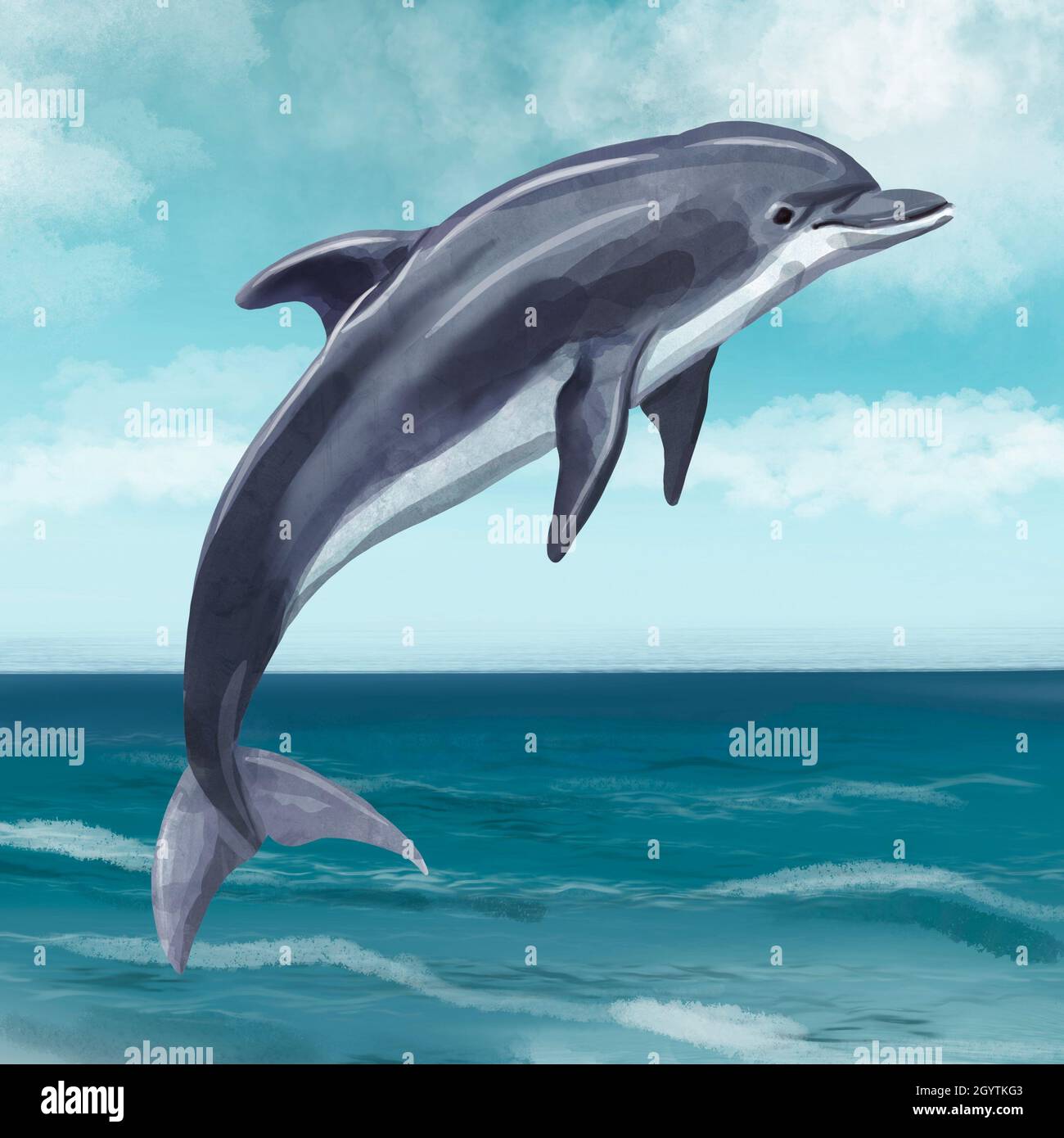 【WAIKEI】Watercolor Puppydolphin Jumping ３色 Dolphin Watercolor Art Print — Bridget Linstead Art