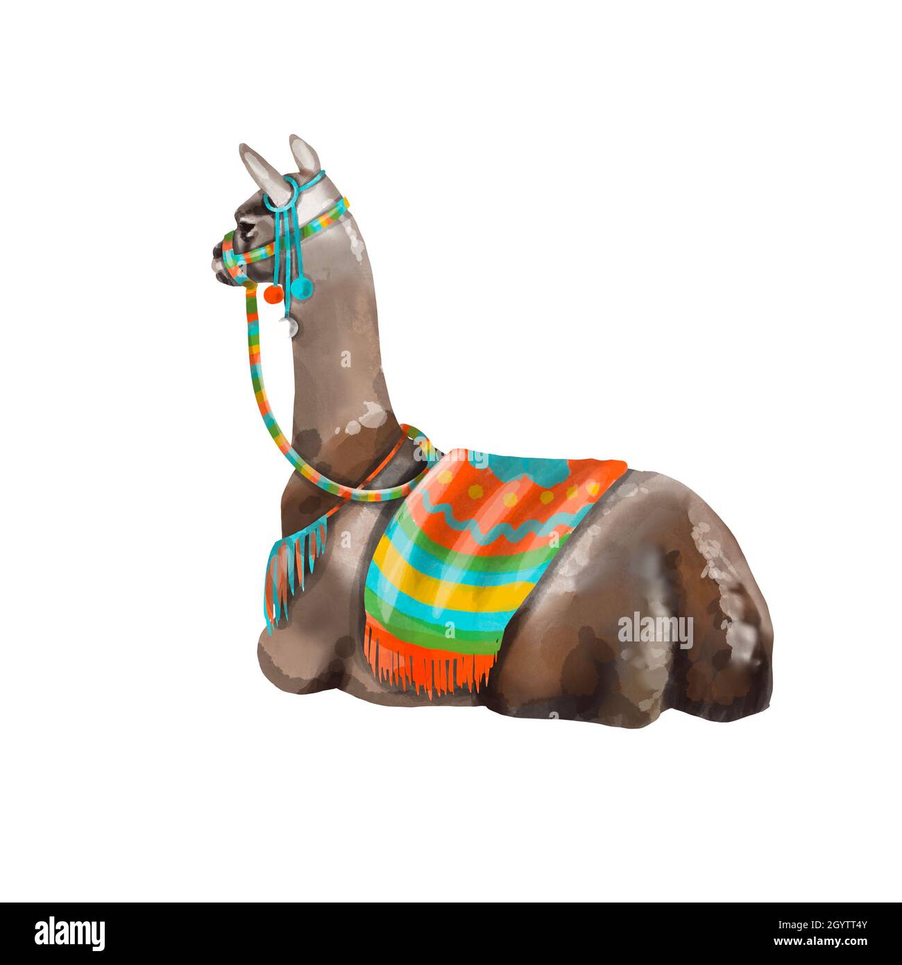 Watercolor alpaca. LLama high quality illustration. Isolated on a white background Stock Photo