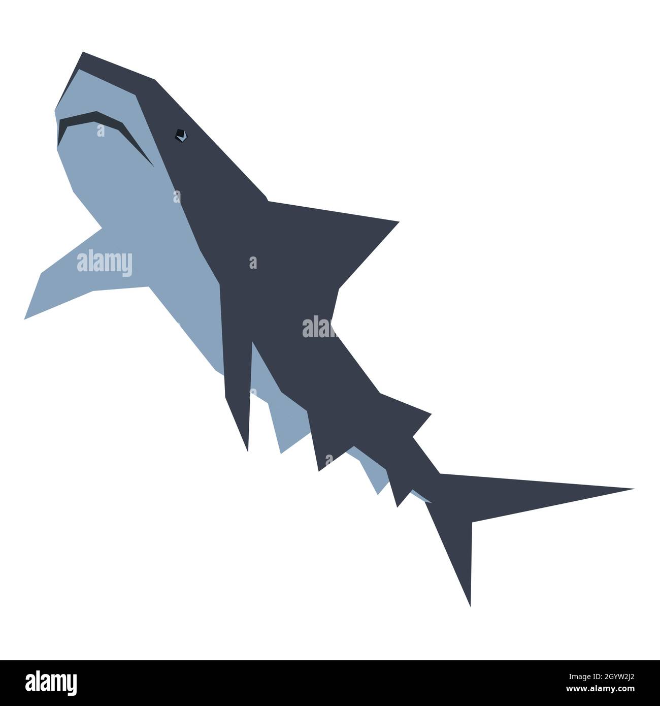 big shark illustration Stock Vector