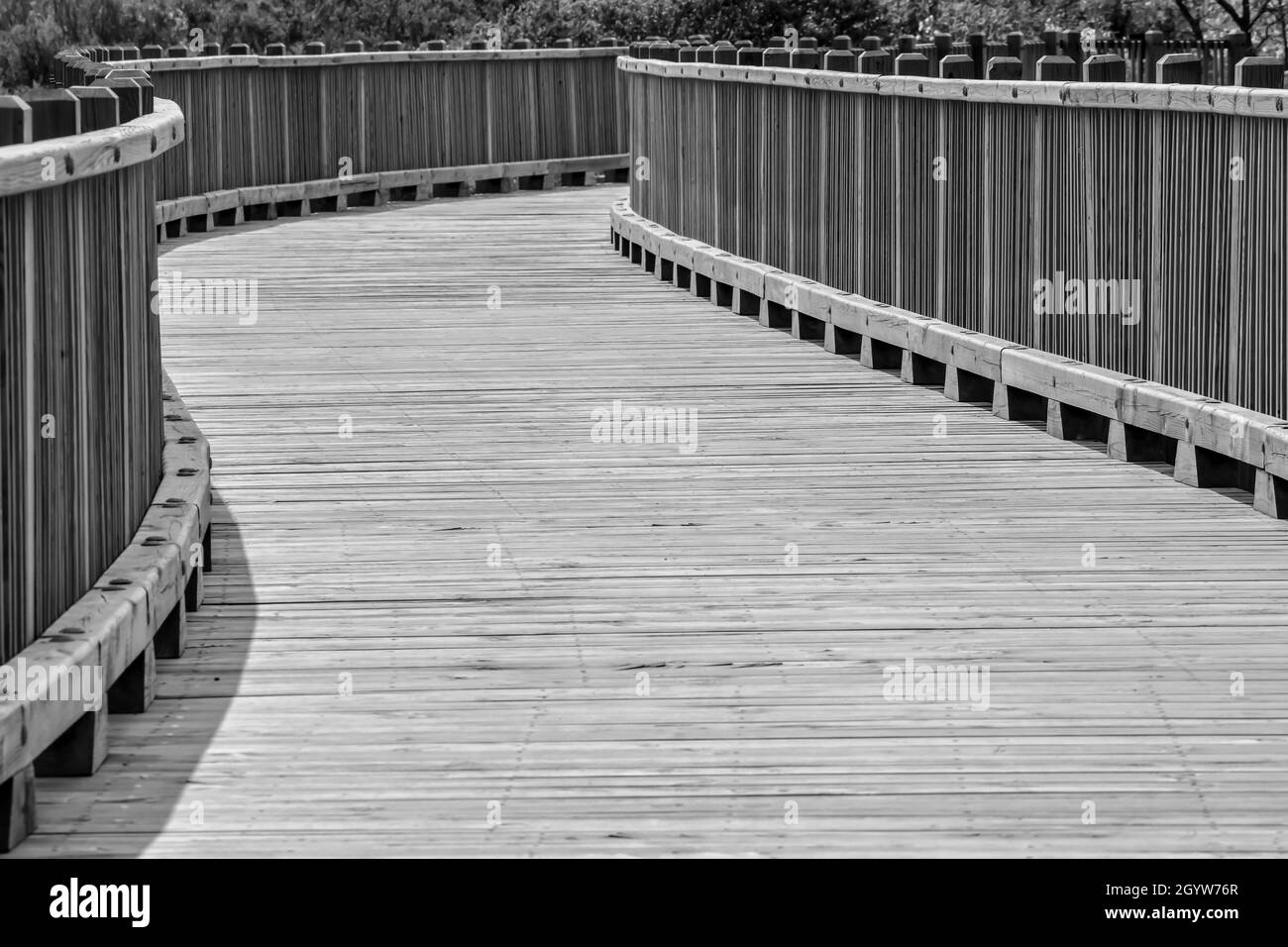 Wooden boardwalk hiking path through the woods Stock Photo