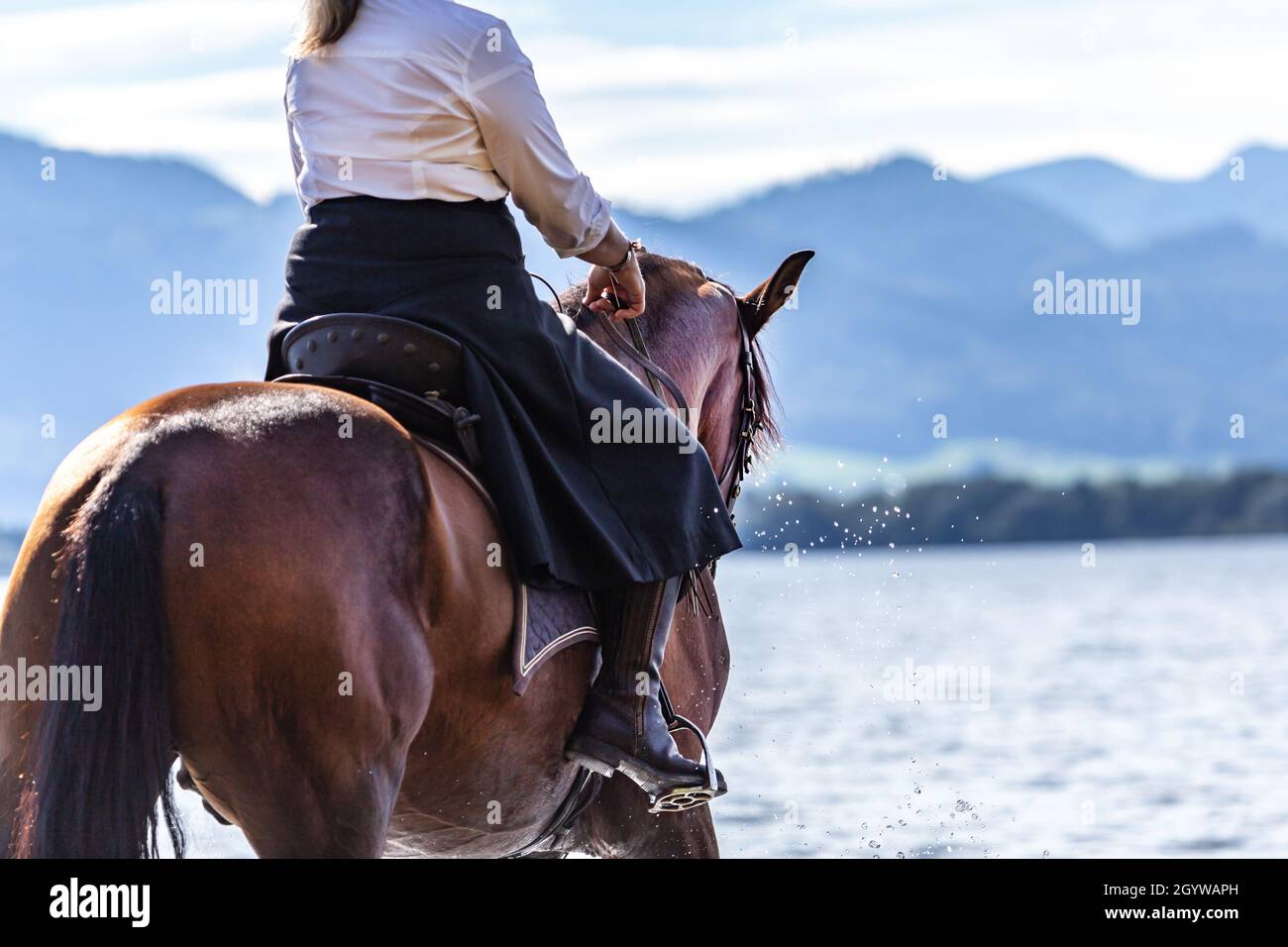 Classic riding art: A rider in a riding skirt on a bay pura raza espanola horse Stock Photo