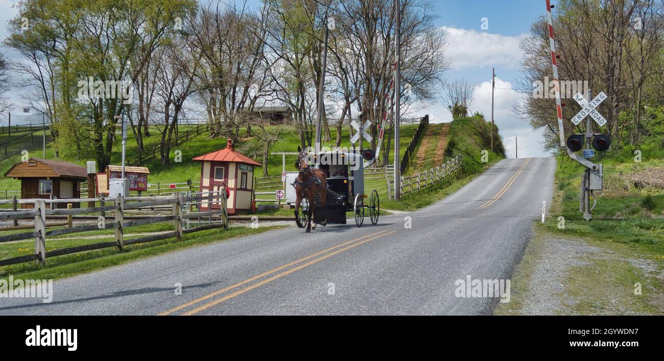 an-amish-horse-and-buggy-traveling-along-a-countryside-road-thru