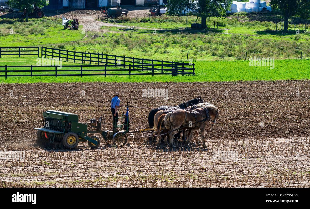 Amish farmers farm people hi-res stock photography and images - Alamy