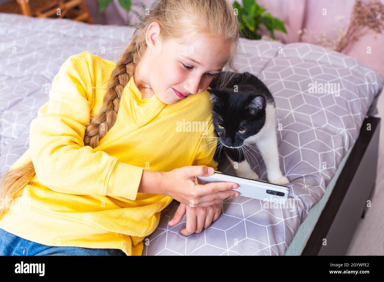 Black and white cat looks at the smartphone screen. Teenage girl with mobile phone blogging about pets, lying on the bed in her bedroom with her cat Stock Photo