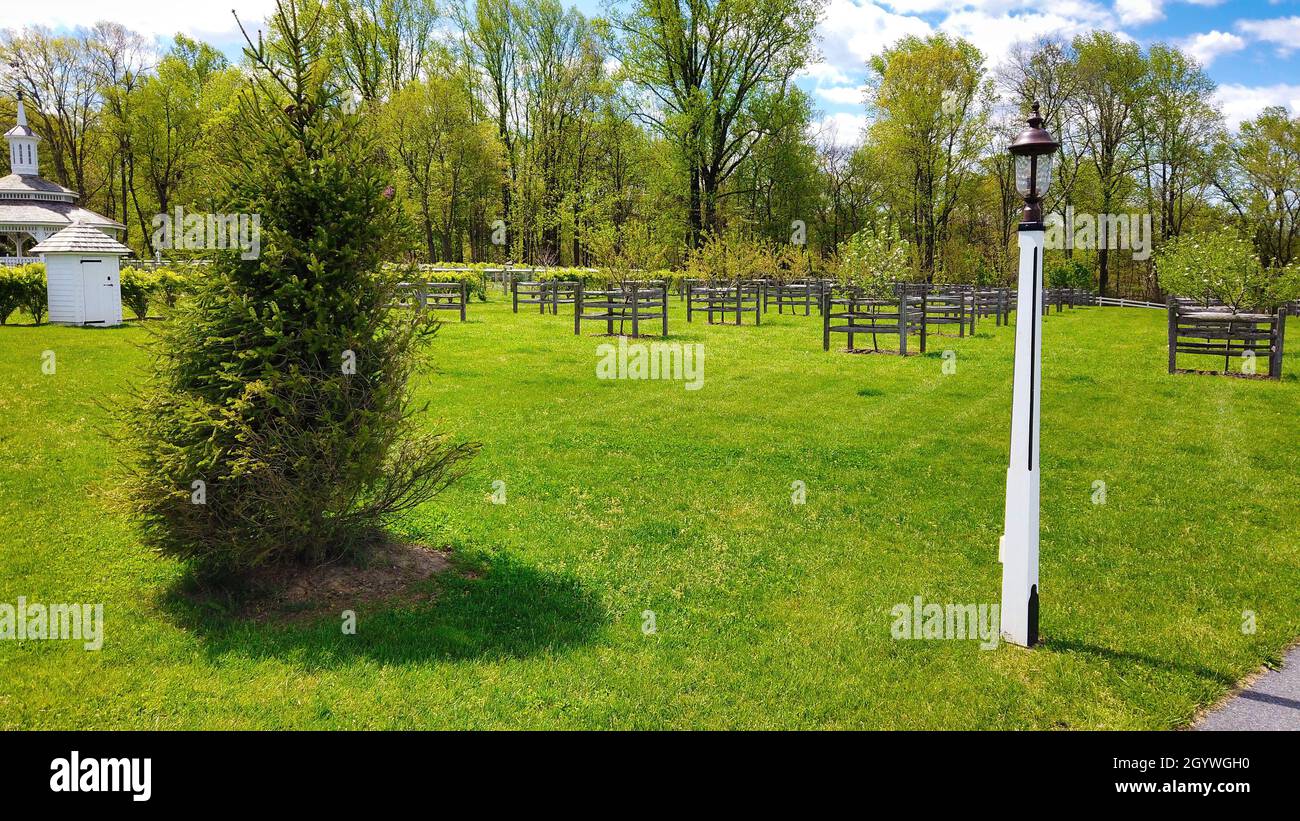 View of Beautifully Blooming Trees and Plants and Unique Structures on a Spring Day Stock Photo