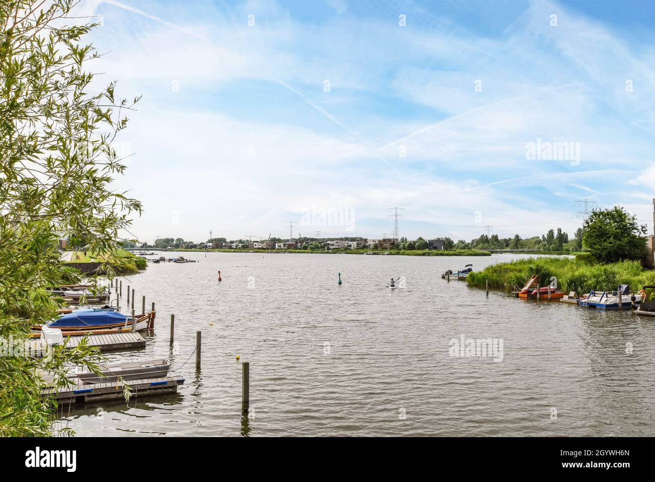 Park of green trees by the beautiful lake full of boats Stock Photo - Alamy