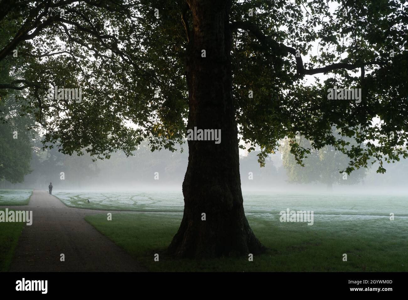 Hyde Park, London, England Stock Photo Alamy