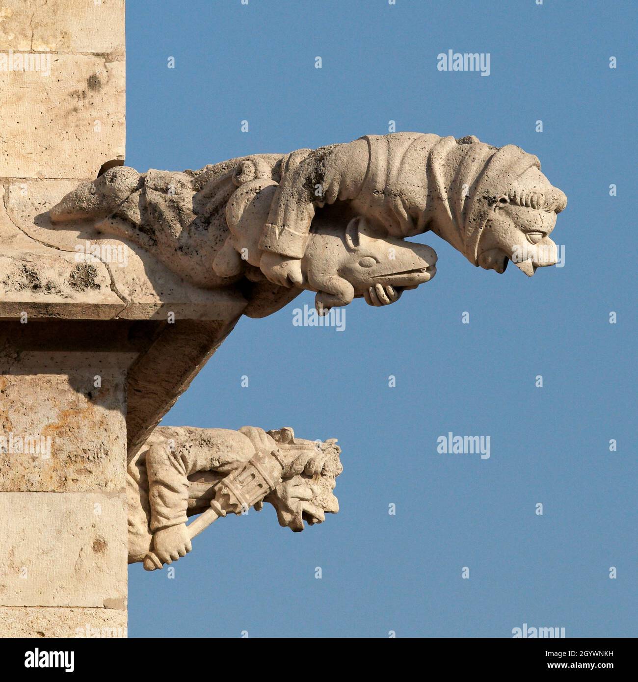 Gargoyles. Lonja de la Seda. Valencia. Comunitat Valenciana. Spain. Stock Photo