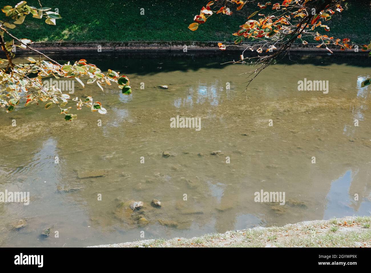 Small garden pond summer hi-res stock photography and images - Alamy