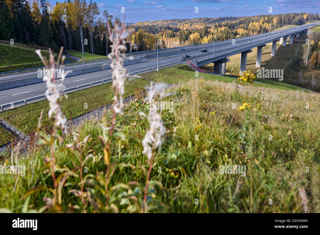 Highway trees cars bridge hi-res stock photography and images - Alamy
