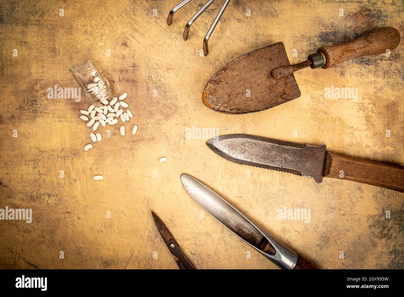 Rusty Garden Tools Lay Flat Stock Photo