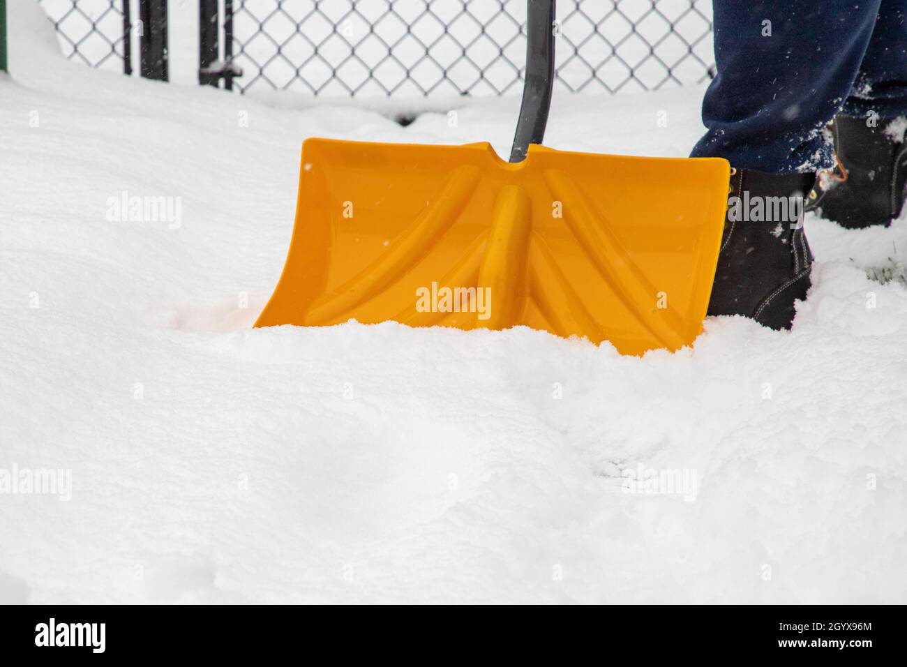 Snow Shovel Close-Up Person Shoveling Snow off Walk Way Stock Photo