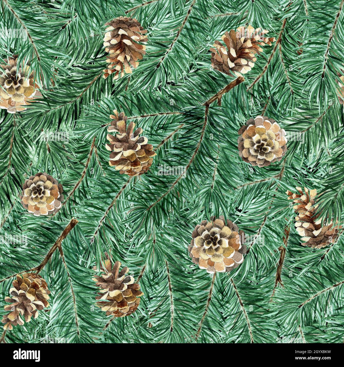 Seamless pattern of fir, pine branches and cones. Watercolor solid ...