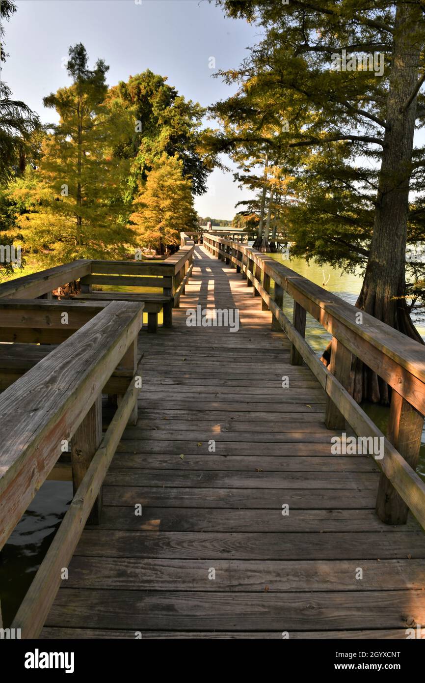 The boardwalk at the Toltec Mounds archeological State park. Stock Photo