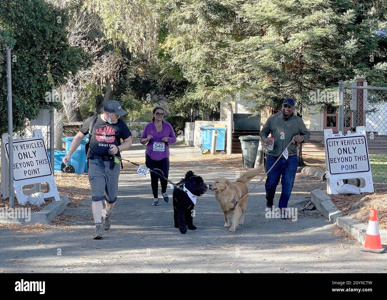 Belmont Usa 9th Oct 2021 Two Dogs Sniff Each Other While Participating In The Belmont Water Dog Run In Belmont California The United States Oct 9 2021 The Belmont Water Dog Run