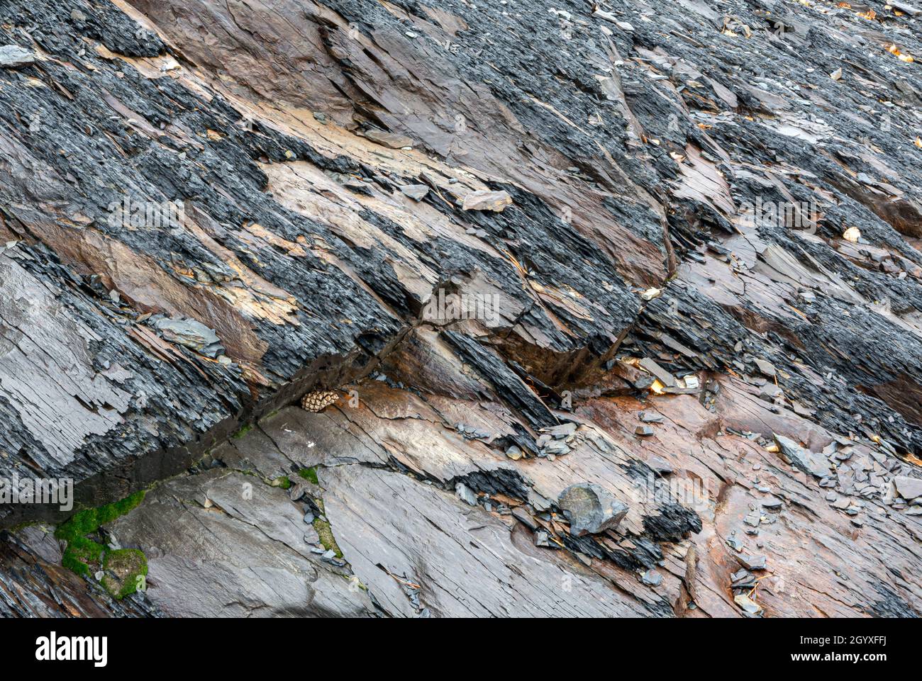 Shale type sedimentary rock hi-res stock photography and images - Alamy