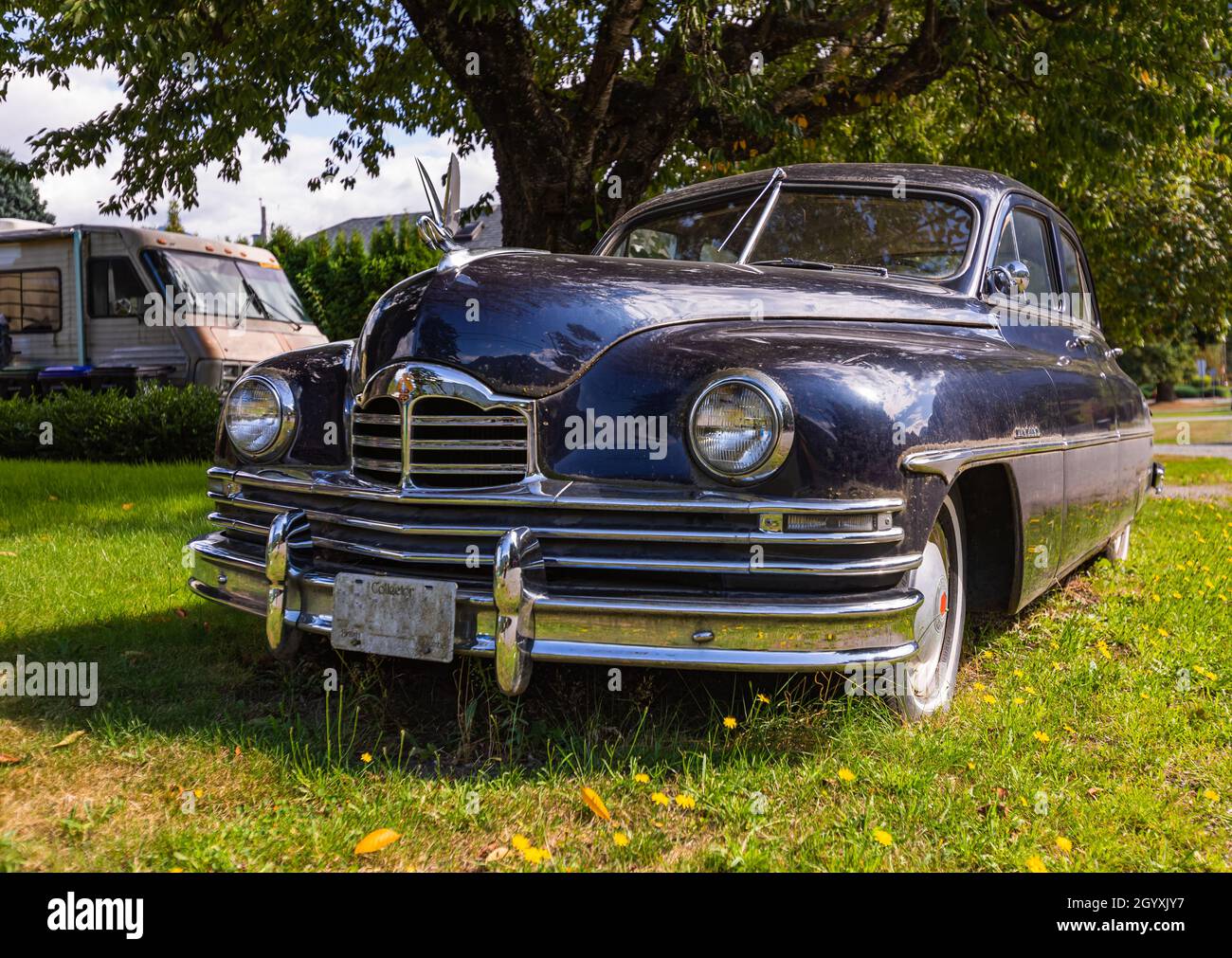 Vintage black Packard car in a garden. Hope, BC, Canada-October 1,2021. Street view, travel photo, selective focus, nobody. Stock Photo