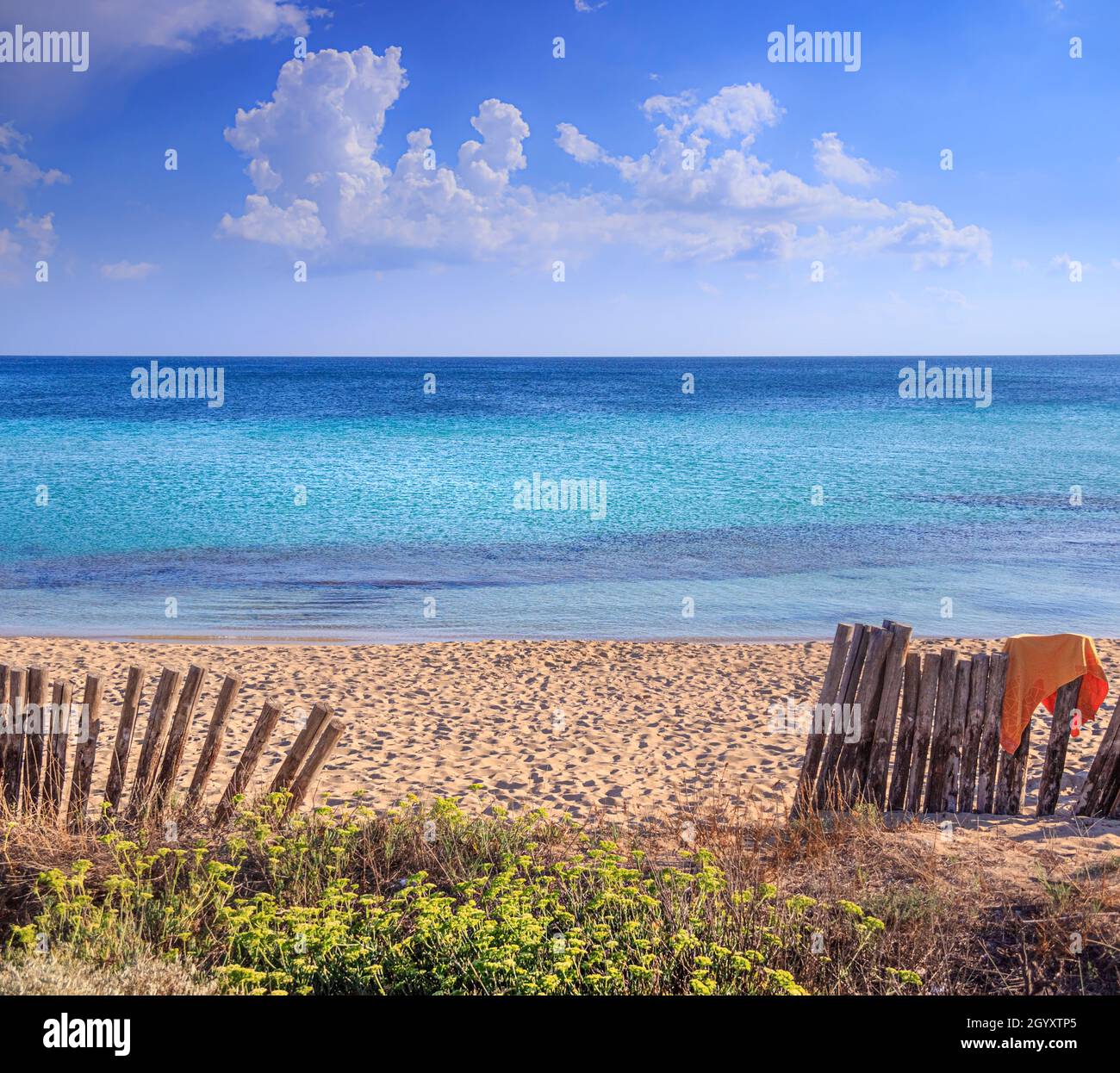 Summertime: fence on the beach in Puglia, Italy: the sandy beach of San Pietro in Bevagna is a natural oasis in front of the blue Ionian sea. Stock Photo