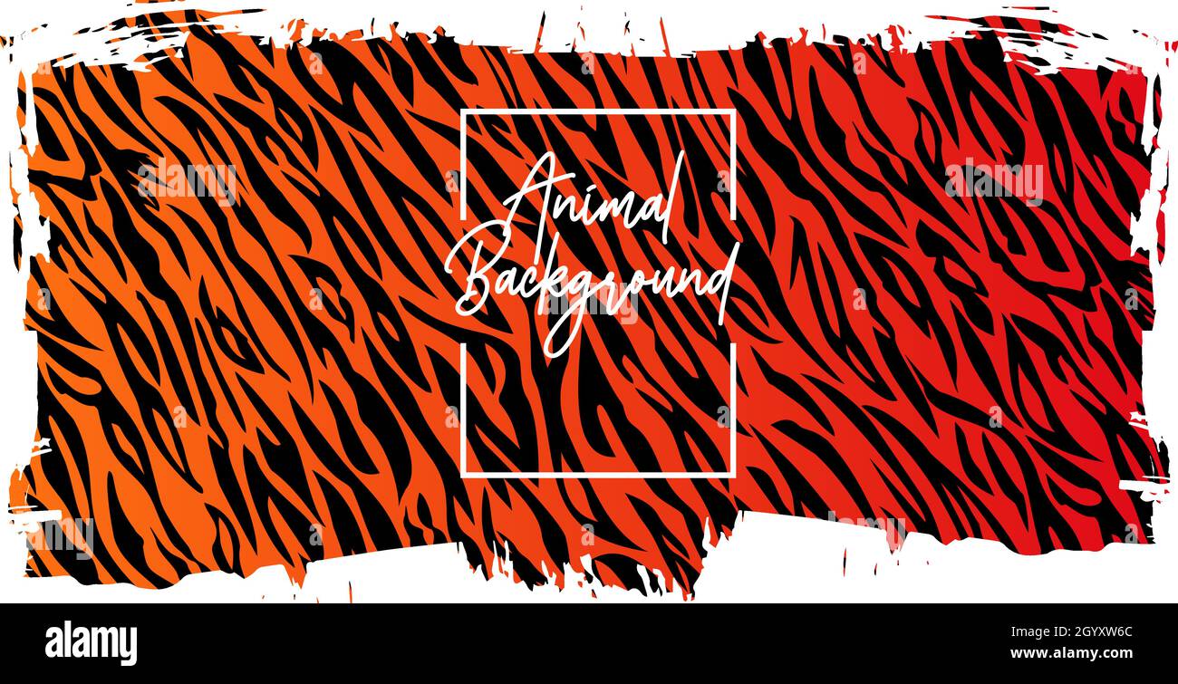 Vector Brush stroke with Tiger stripe pattern. Tiger background Stock ...
