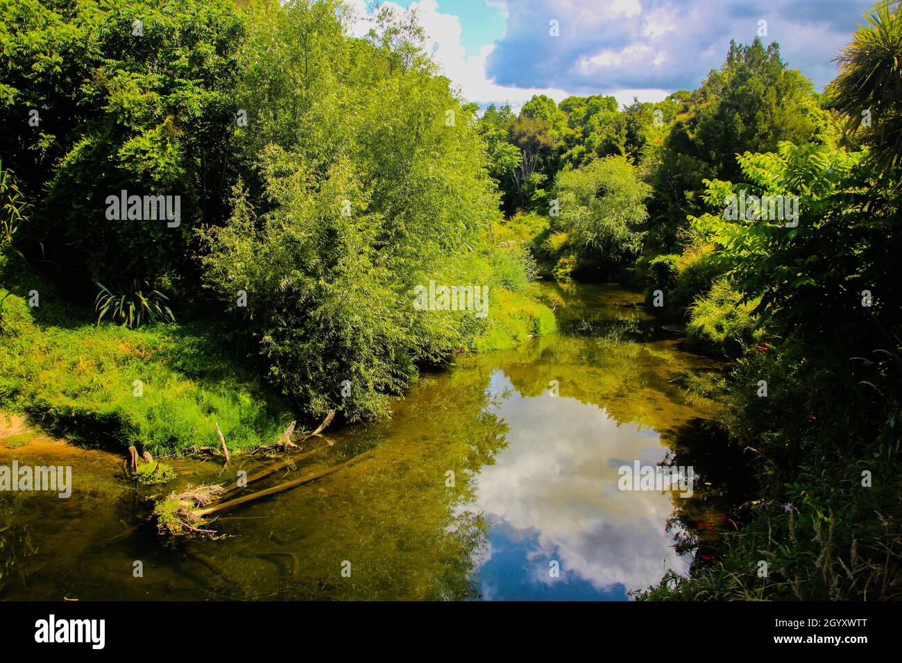 Ohinemuri River in the forest on a sunny day Stock Photo
