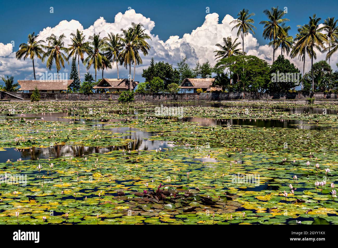 Candidasa pond, Bali, Indonesia. Stock Photo