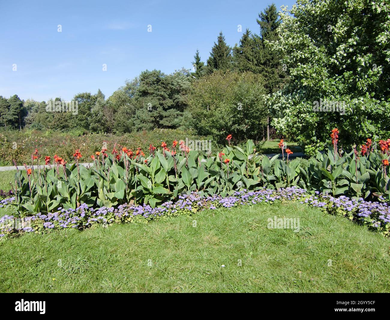 Central Botanical Garden (Minsk, Republic of Belarus) Stock Photo