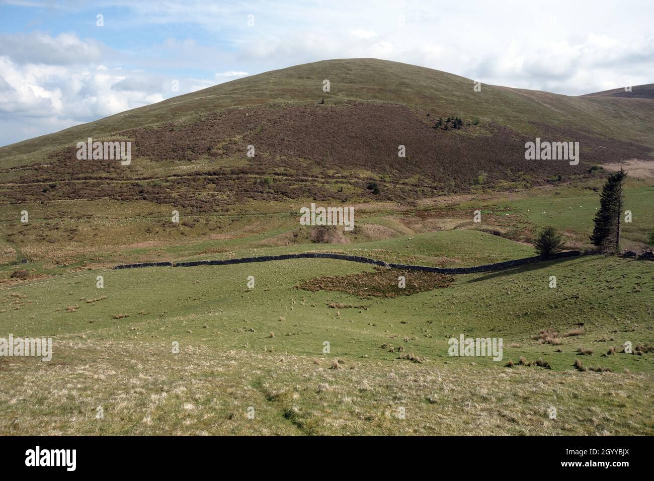 The Birkett 'Owsen Fell' from near the Summit of 'High Hows' in the Lake District National Park, Cumbria, England, UK Stock Photo