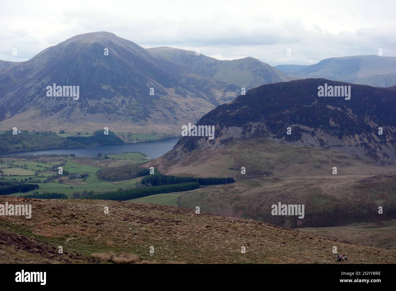 The Wainwrights 'Grasmoor' and Melbreak from the Summit of 'Carling Knott' in the Lake District National Park, Cumbria, England, UK. Stock Photo