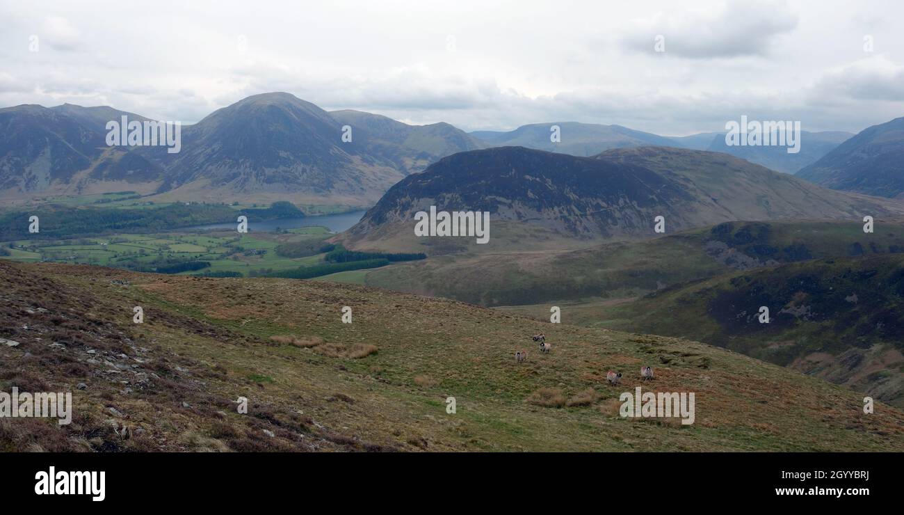 The Wainwrights Whiteside,Grasmoor and Mellbreak from the Summit of 'Carling Knott' in the Lake District National Park, Cumbria, England, UK. Stock Photo