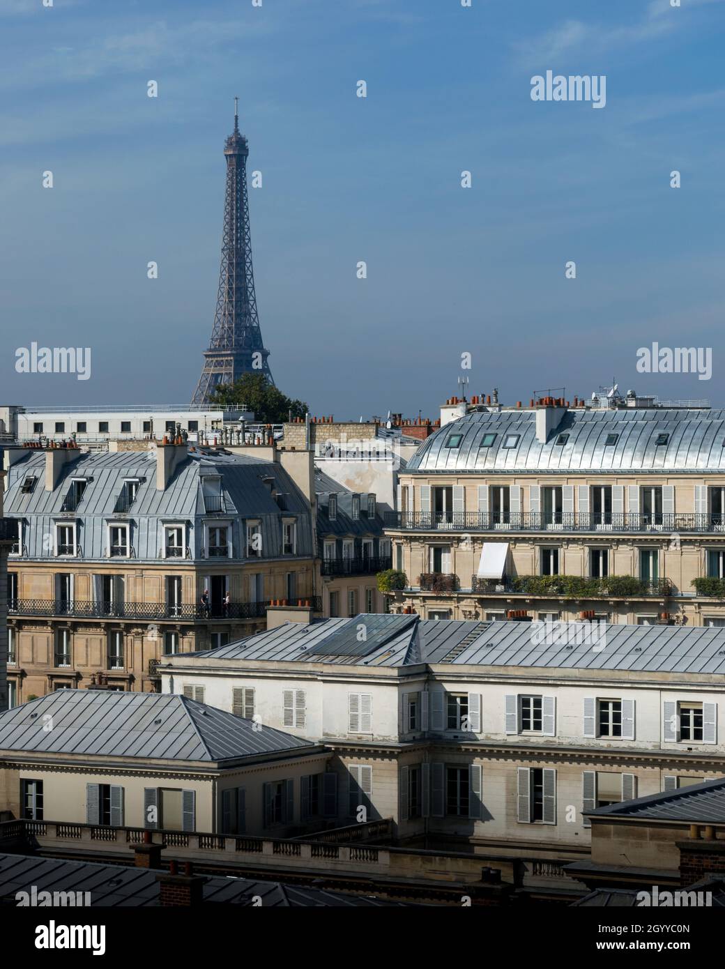 The Eiffel Tower shot from far away, Paris France Stock Photo