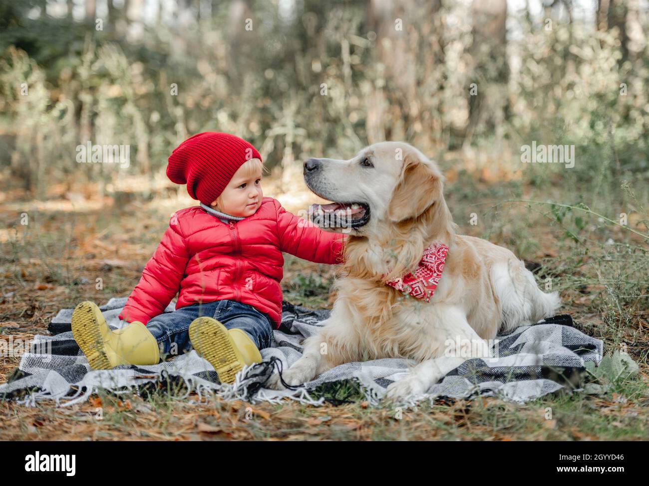 Little girl with golden retriever dog in the forest Stock Photo - Alamy