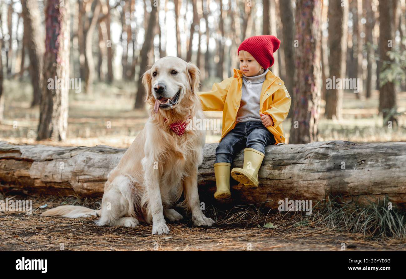 Little girl with golden retriever dog in the forest Stock Photo - Alamy