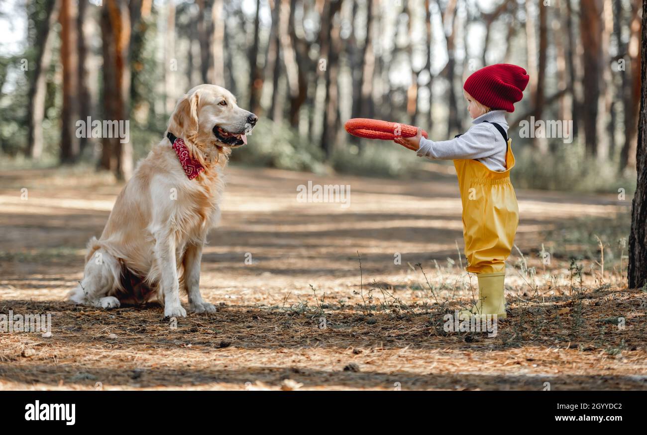 Little girl with golden retriever dog in the forest Stock Photo - Alamy