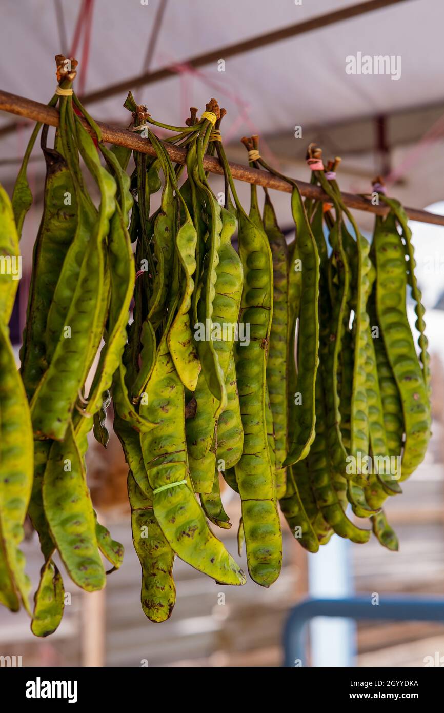 Petai, pete or Parkia speciosa hanging on the street for sale, legumes, Fabaceae, petai-petai tribe Mimosoideae. Stock Photo