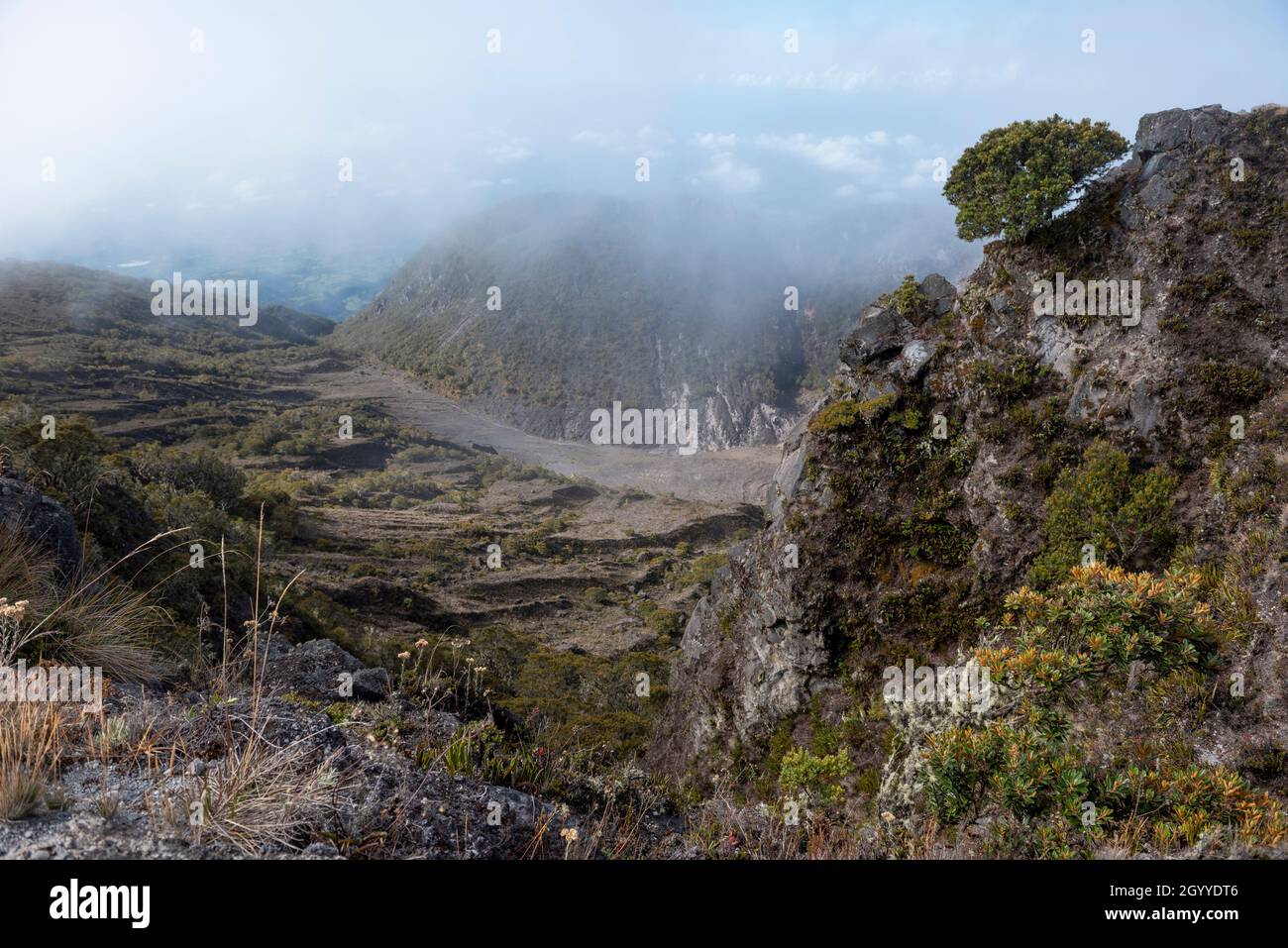 Volcan Baru National Park, the highest point in Panama ( 3475m), Chiriqui highlands, Panama, Central America Stock Photo