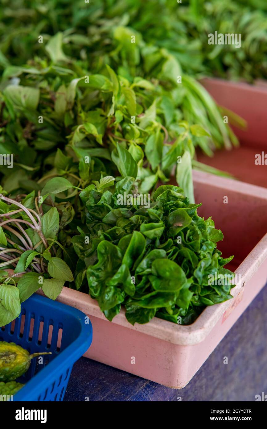Brazilian spinach with other vegetables for sale at the local stall in Malaysia. Stock Photo