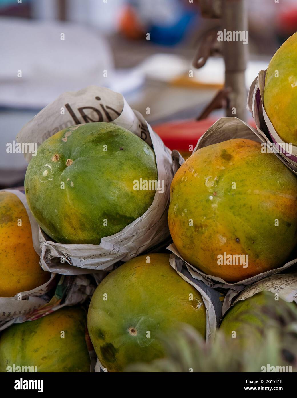 Piles of huge ripe tropical papaya ready for eating at a fruit and