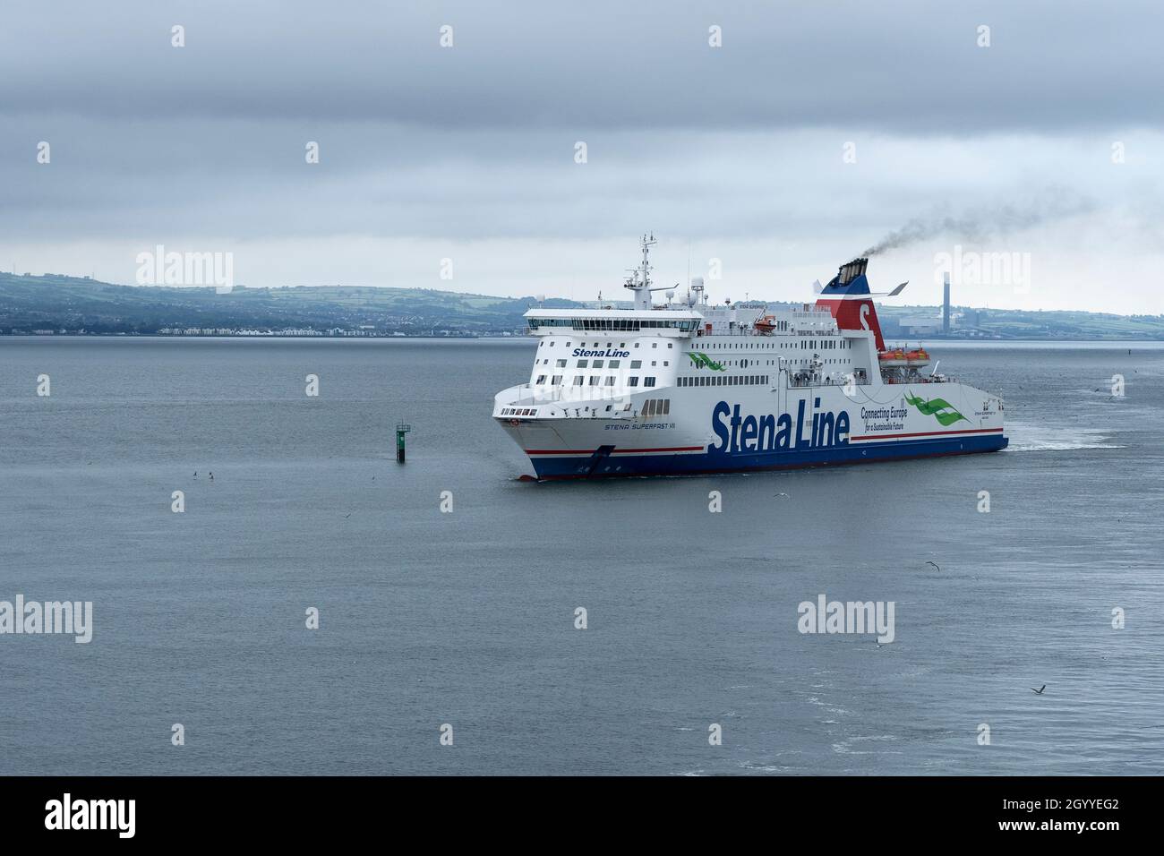 The Stena Line Superfast Vii ferry travelling along Belfast Lough towards Belfast Port Northern Ireland Stock Photo