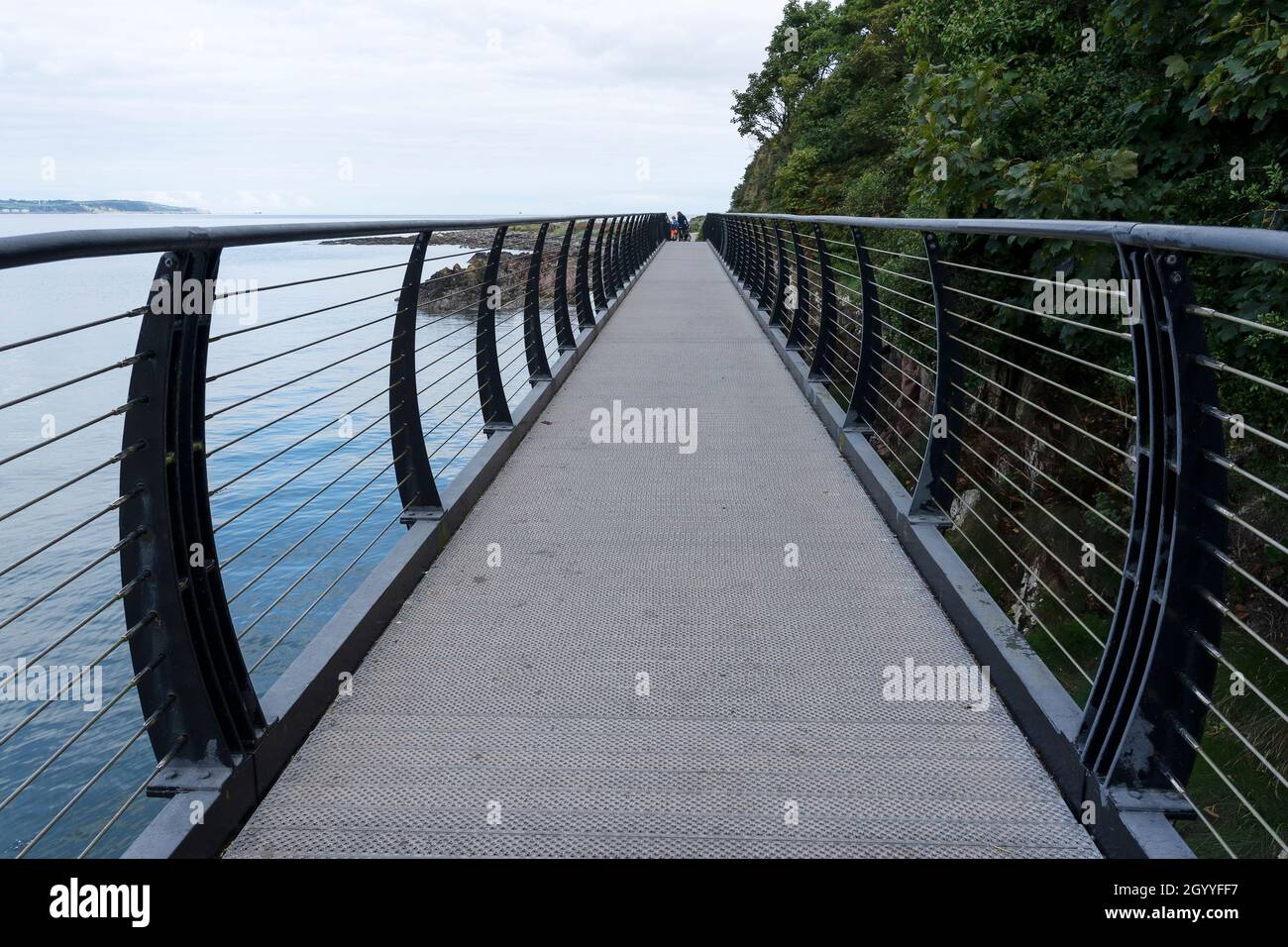 The boardwalk bridge near Seahill on the Bangor to Holywood costal path Northern Ireland Stock Photo