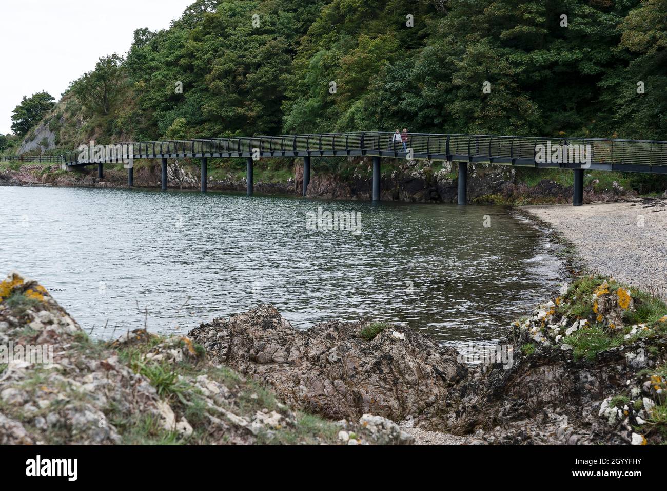 The boardwalk bridge near Seahill on the Bangor to Holywood costal path