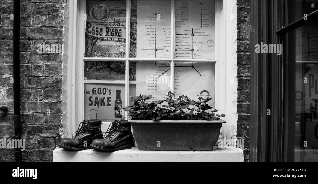 Tucked away down a Cambridge alleyway was this quirky window display. Boots with plants growing out of them! Stock Photo