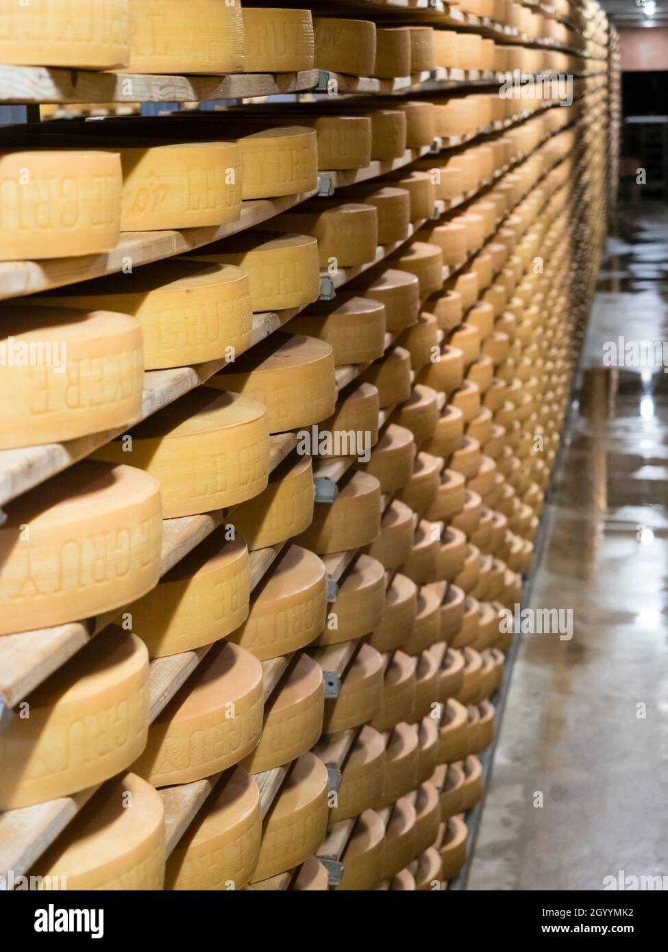 Long rows with large wheels of Swiss Gruyere cheese are maturing at the cheese diary at Gruyere