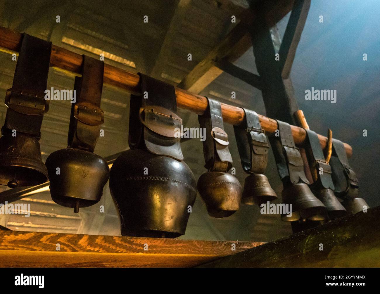 Traditional cowbells are hanging on the attic of a an alpine dairy in Switzerland Stock Photo