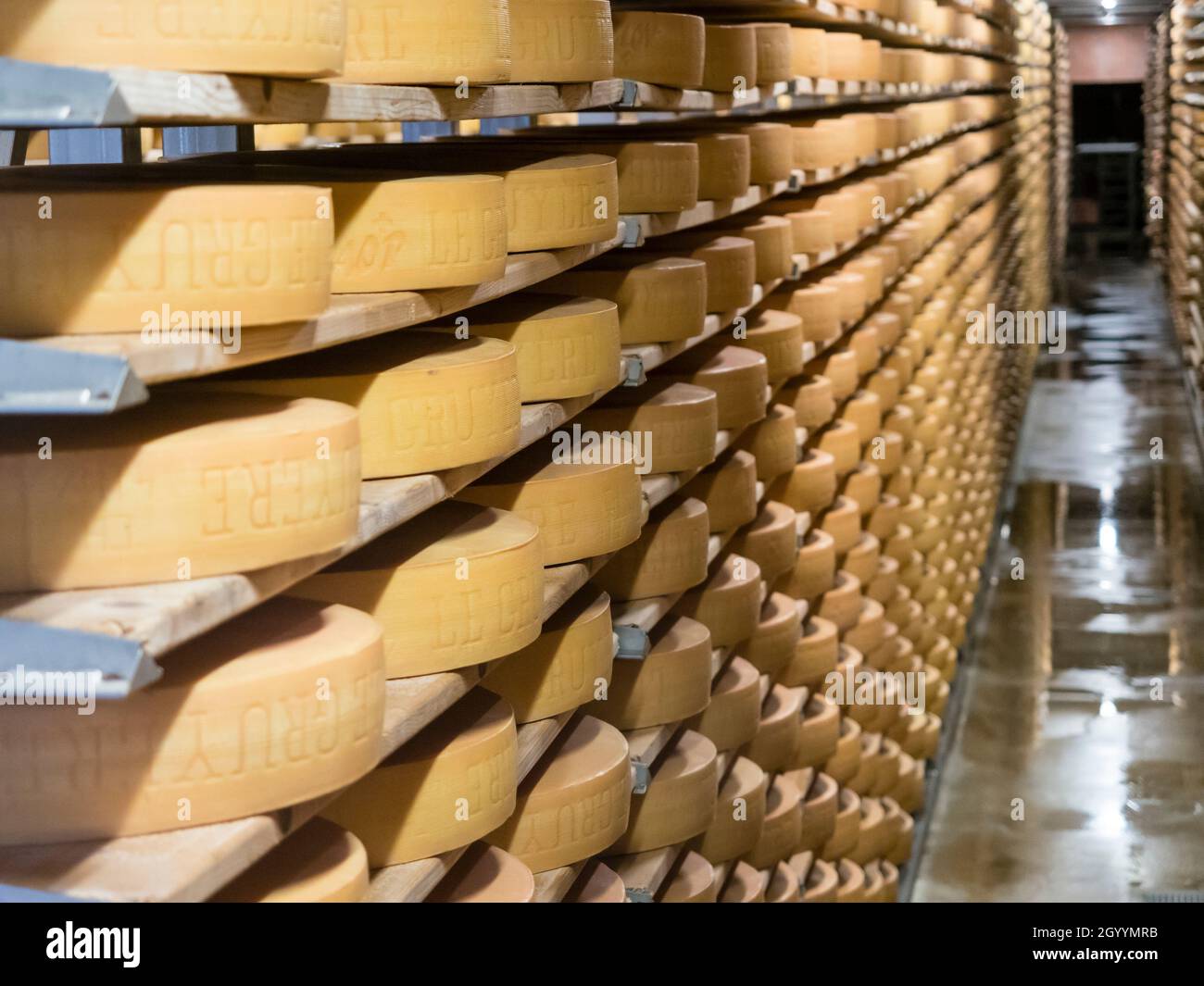 Long rows with large wheels of Swiss Gruyere cheese are maturing at the cheese diary at Gruyere, Switzerland. Stock Photo