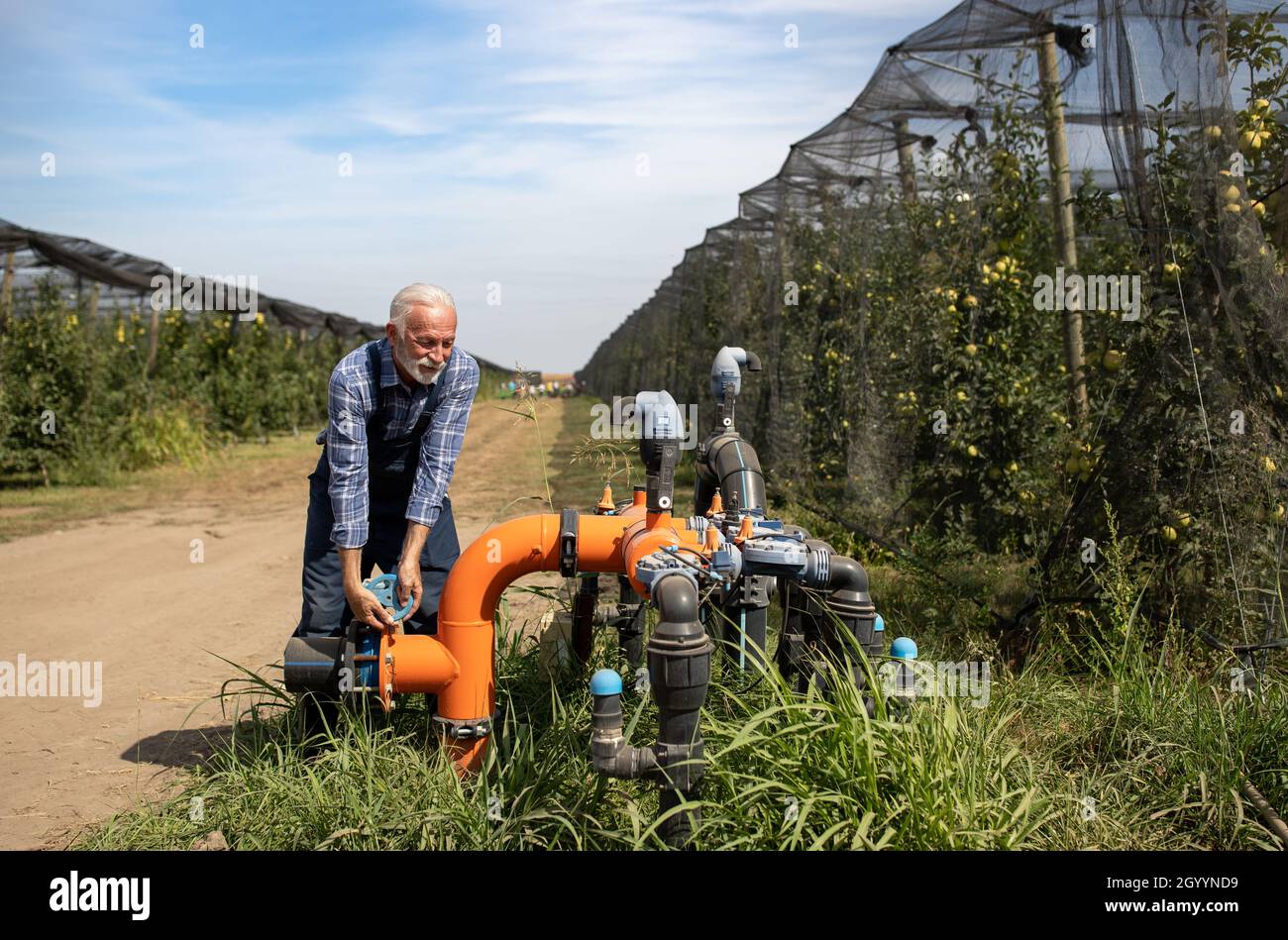 Senior farmer repairing valve on irrigation system in modern apples