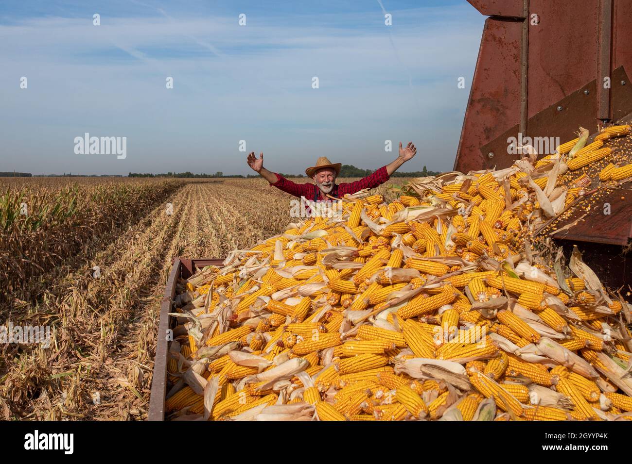 Satisfied senior farmer with raised arms looking at combine harvester