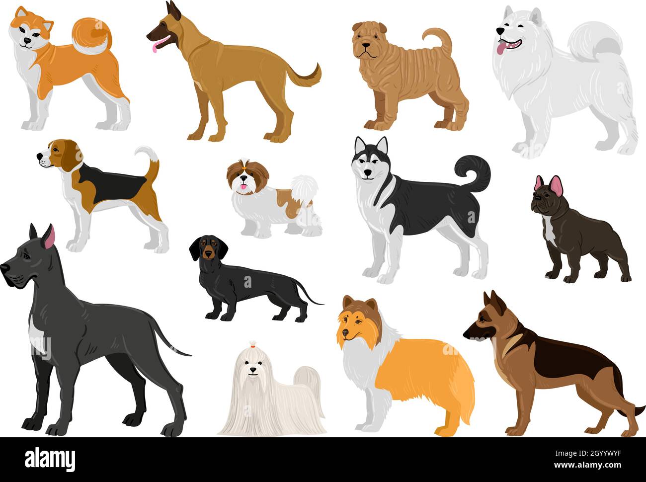 Cartoon dogs different breeds, funny domestic puppy pets. Husky, beagle, great dane, french bulldog and maltese dogs vector illustration set. Cute Stock Vector