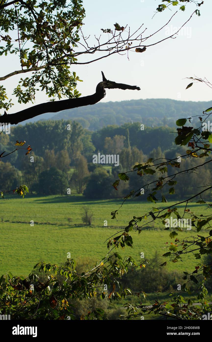 Mülheimer Ruhrauen Stock Photo