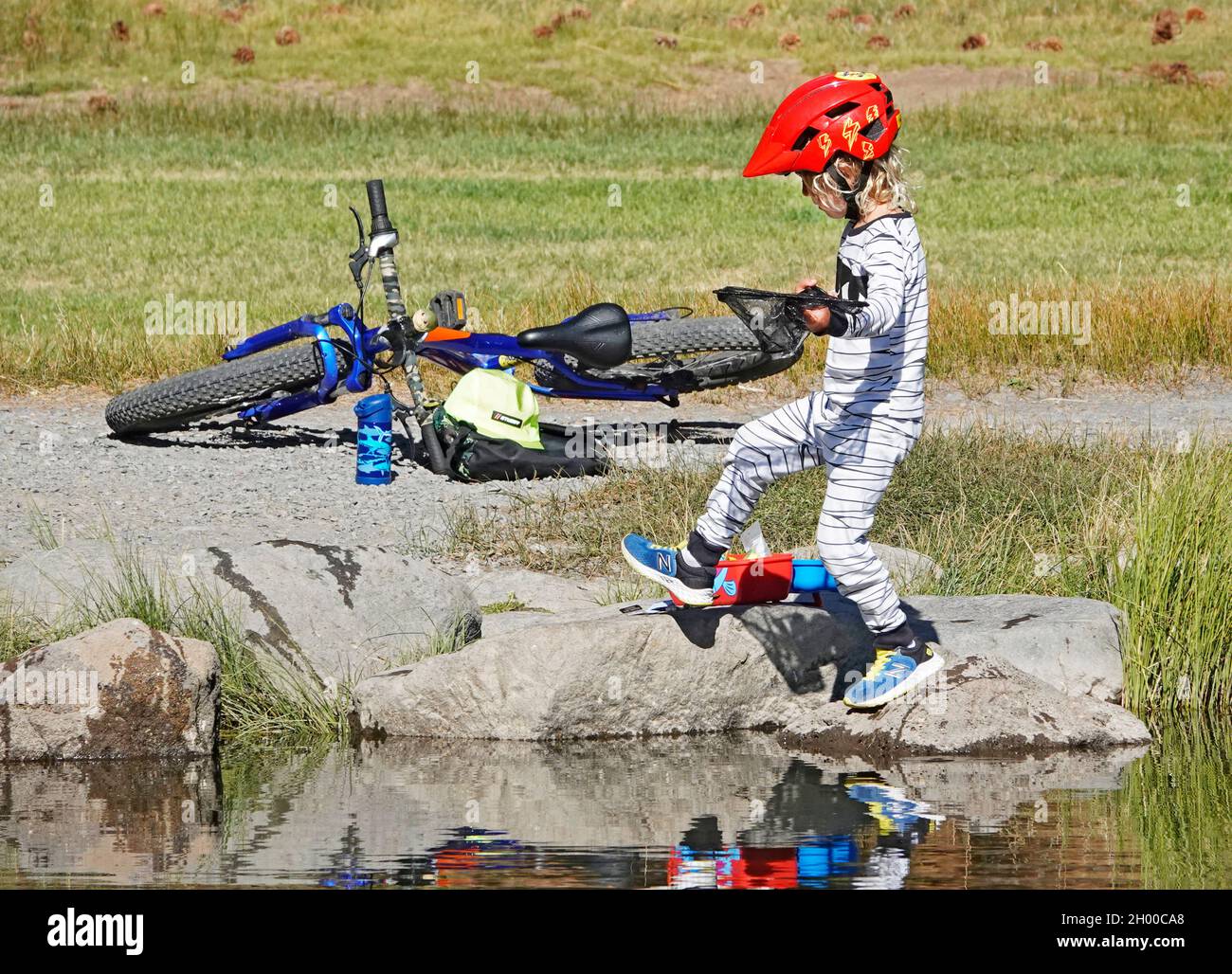 Polywog hi-res stock photography and images - Alamy