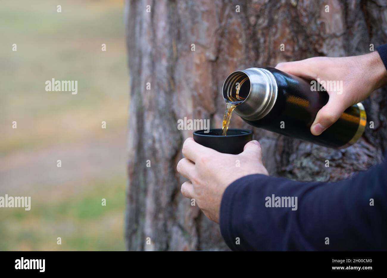 Man tourist pouring hot tea out of a thermos flask by a tree at sunset. Hiking, traveling and active lifestyle concept Stock Photo